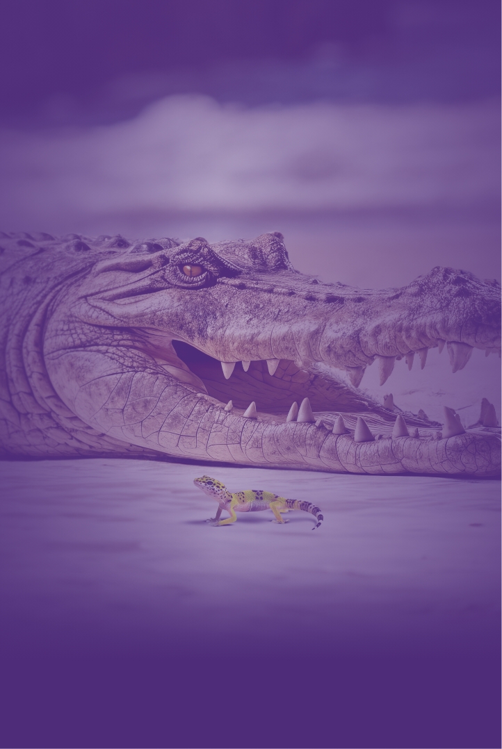 capa_mobile_crocodilo_alta
